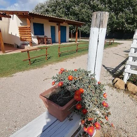 Agriturismo Oca Giuliva Lido dei Pini Exteriör bild