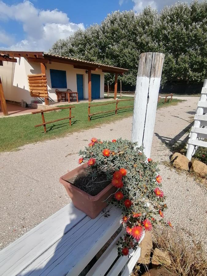 Agriturismo Oca Giuliva Lido dei Pini Exteriör bild